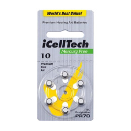 iCellTech 10 PR70 Zinc-Luft...